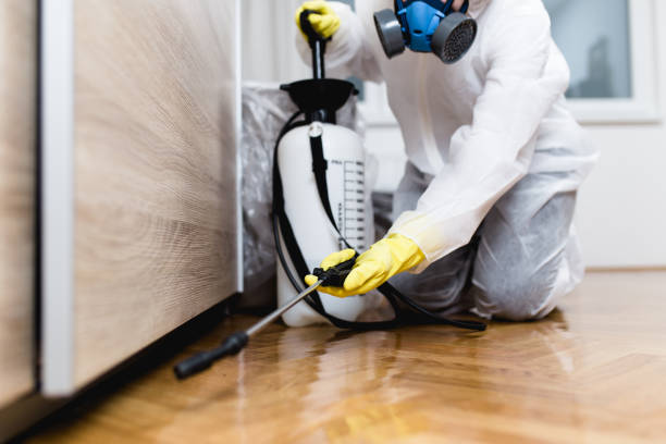Best Commercial Pest Control Services  in Springfield, NE