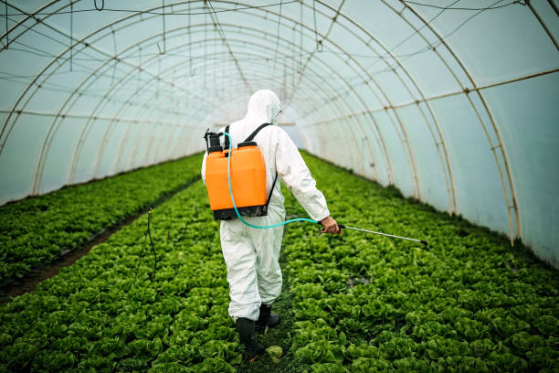 Best Pest Prevention Services  in Springfield, NE